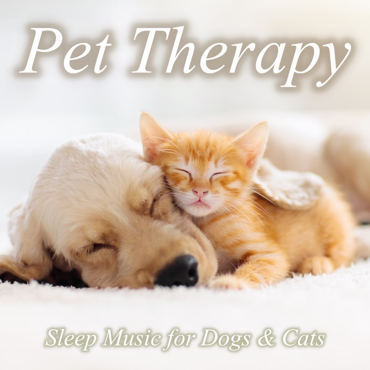 ‎Pet Therapy Sleep Music for Dogs & Cats River Sound, Forest Sound ...