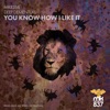 You Know How I Like It - Single