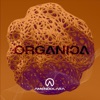 DJ Rocco - Organica
