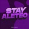 Stay Aleteo (Remix) artwork