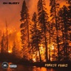Forest Fires
