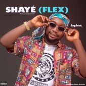 Shayé (Flex) artwork