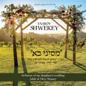 מסיני בא - Yaakov Shwekey