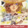 Incident at Vinegar Gulch - Single album lyrics, reviews, download