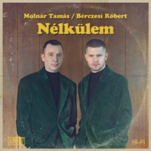 Nélkülem (feat. BéRCZeSi RóBeRT) artwork