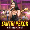 Santri Pekok - Single, 2023