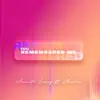 You Remembered Me (feat. Noelle) - Single album lyrics, reviews, download