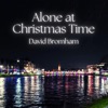 Alone at Christmas Time - Single