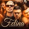 Felina - MC Cassiano, Mc Jhey & DJ Yuri Martins lyrics