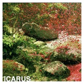 The Flor - Icarus