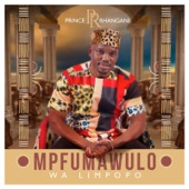 Mpfumawulo Wa Limpopo artwork