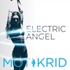 Electric Angel - Single