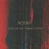 Notify - Tá Mé I Mo Shuí / Murray's Potion