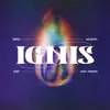 IGNIS (feat. Maudito, Uest & João Tamura) - Single album lyrics, reviews, download