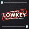 LOWKEY (feat. Dizzy Wright) - Single album lyrics, reviews, download