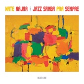 Nate Najar - Desafinado (feat. Jeff Rupert)