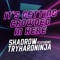 It's Getting Crowded in Here (feat. TryHardNinja) - Shadrow lyrics