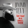 Try That In a Small Town - Single