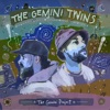 The Gemini Project