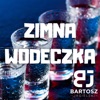 Zimna Wódeczka - Single