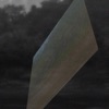 Birds Birds Birds - Single