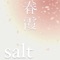 Spring Haze (feat. Akihiro Shimada) [Vocal Edit] - salt lyrics