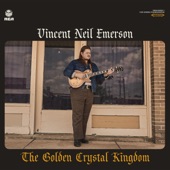 Vincent Neil Emerson - Time of The Rambler