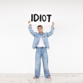 Idiot artwork