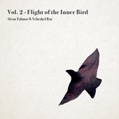 Vol. 2 - Flight of the Inner Bird (feat. סיון טלמור) - EP artwork