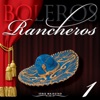 Serie Majestad: Boleros Rancheros, Vol. 1