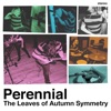 The Leaves of Autumn Symmetry - EP