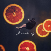 JAMONG (feat. MOR) - jinjunwang