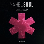 Soul (Molla Remix) artwork