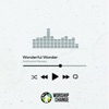 Wonderful Wonder - Single