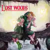 Lost Woods - Single album lyrics, reviews, download