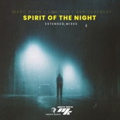 Spirit of the Night (Extended Mix) artwork
