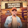 Pilantra e Galinha - Single