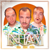 Stefan en Sean - Inham (feat. Bram Krikke) kunstwerk