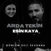 Gönlüm Deli Sevdana - Single