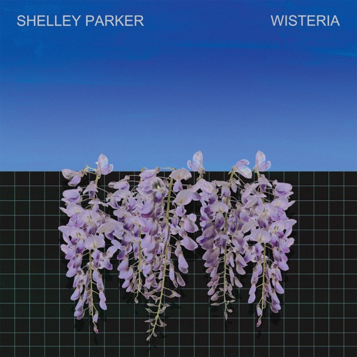 Wisteria by Shelley Parker