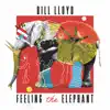 Feeling the Elephant (Remastered and Expanded) album lyrics, reviews, download