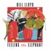 Feeling the Elephant (Remastered and Expanded)