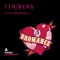 Seek Bromance (Avicii Vocal Edit) - Tim Berg lyrics