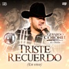 Triste Recuerdo (En Vivo) - Single