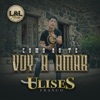 Cómo No Te Voy a Amar - Single