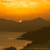 Je Te Laisserai Des Mots (feat. MYRY) [Cover] - Sunauri