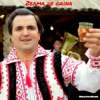 Zeama De Gaina - Single