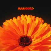 Marigold artwork