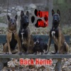 Back Home - Single