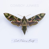 What I Lost - Cowboy Junkies